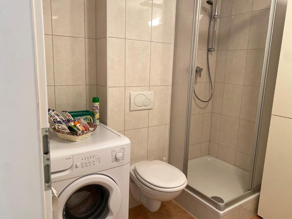 Apartment "Das Schillers Spa" バードガシュタイン エクステリア 写真