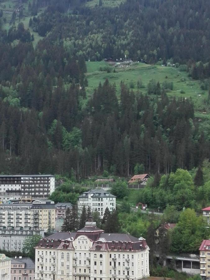 Apartment "Das Schillers Spa" バードガシュタイン エクステリア 写真